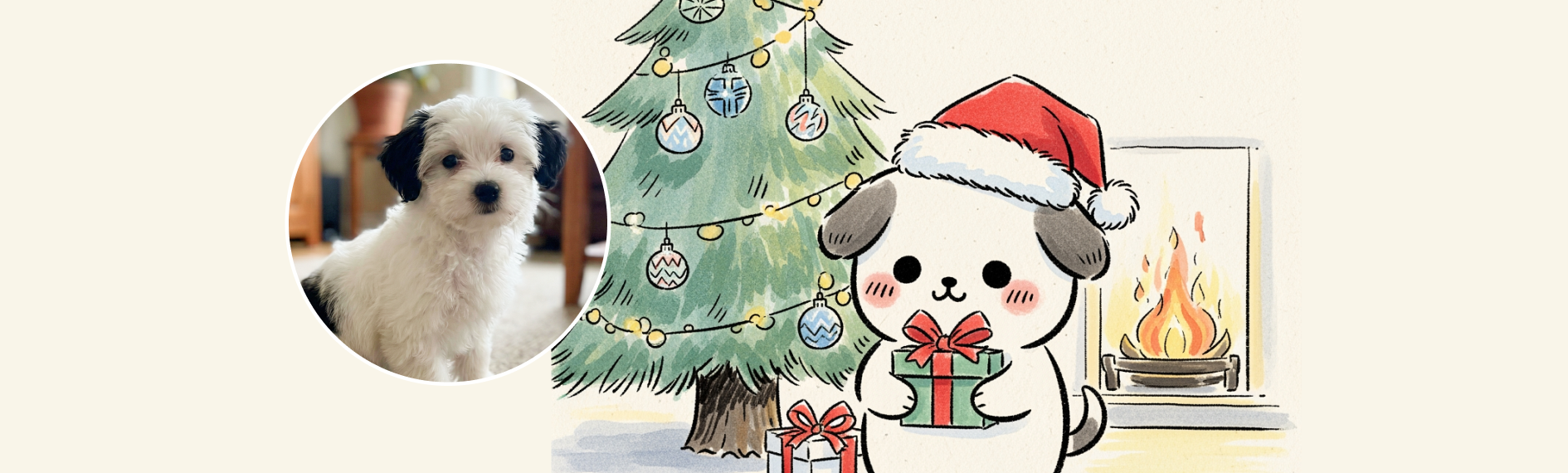 우리집 댕댕이로 일러스트 만들기